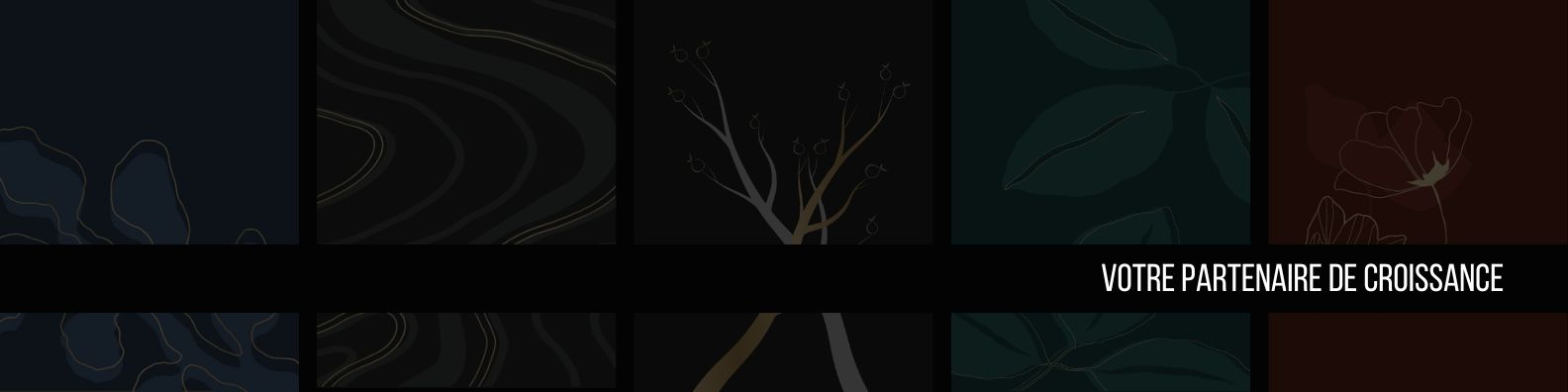 Kelly Projet Croissance