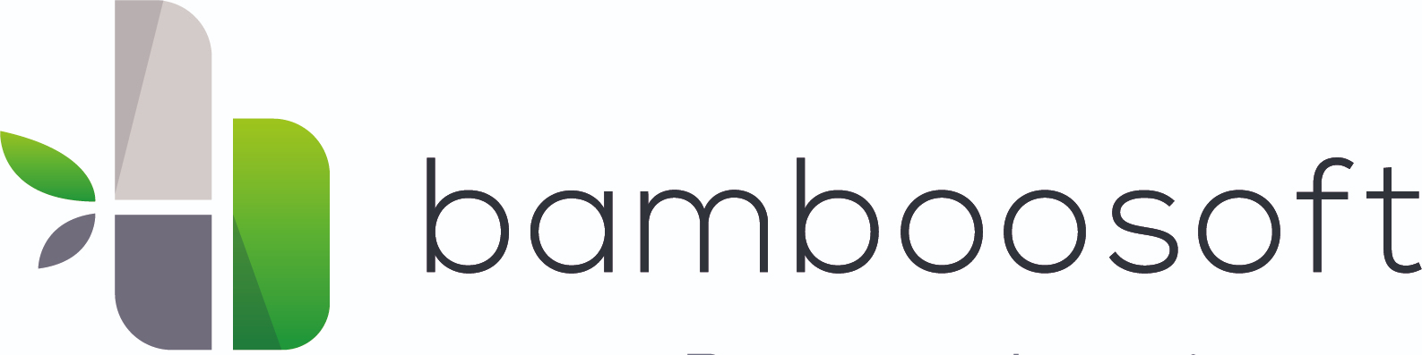 Bamboosoft