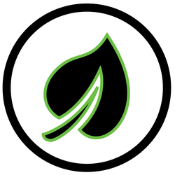 Domrob Films Animated Video Production