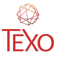 Texo ERP Consultants