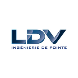 LDV Consultants