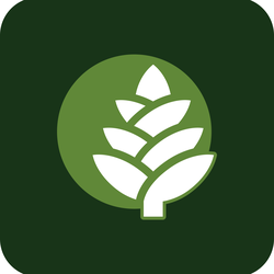Agence CocoWeb Vidéo marketingRigaud
