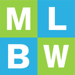 My Little Big Web Video Marketing