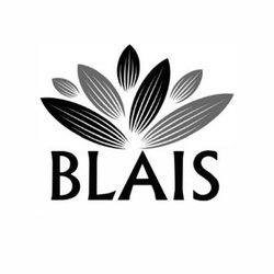 Gestion Blais Rédacteurs de subventions