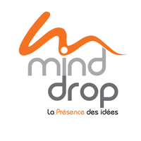 Mind Drop Agences web Rawdon