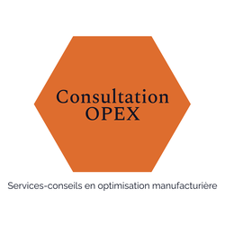 Consultation Opex