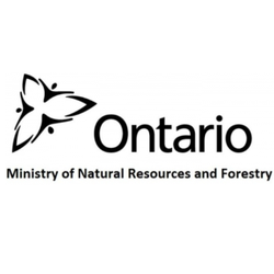 Forest Sector Investment and Innovation Program (IFIT) — Business projects - Ontario