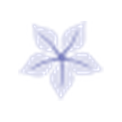 Aura Cacia logo