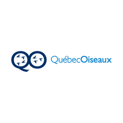 QuébecOiseaux logo