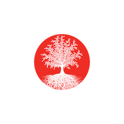 Bhayana Family Foundation — Reconnaissance du secteur communautaire - Ontario - Canada