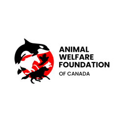 Animal Welfare Organization Grants