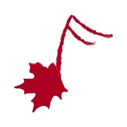 MusiCompte logo