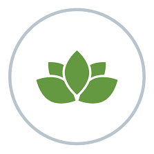 Stanley Creators Fund - Canada