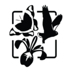 Quebec Center for Biodiversity Science (QCBS) logo