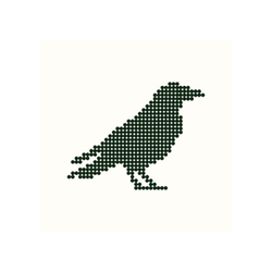 Raven Outcomes logo