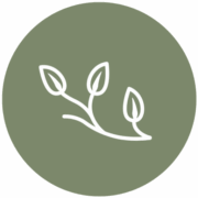 St. Albert Community Foundation (SASCF) logo
