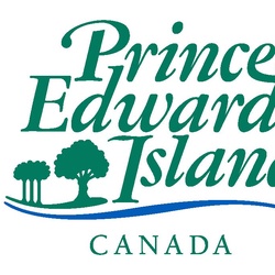 Programme de subventions du Secrétariat interministériel à la condition féminine