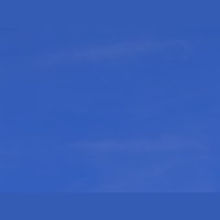 Shen Nong Scholarship and Research Fund