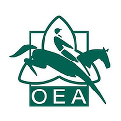 Fondation d'éducation Bradley Mark Johnston (FEMBJ) logo