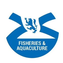 Aquaculture Loan Program - Startups