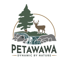 Petawawa Community Improvement Plan (CIP)