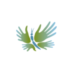 Massage Therapy Foundation logo
