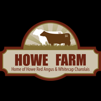 Bourse Commémorative Tanya Howe Damsgaard