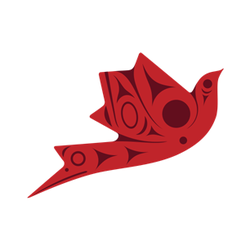 Advancing Indigenous Gender Equality through Innovation and Social Entrepreneurship