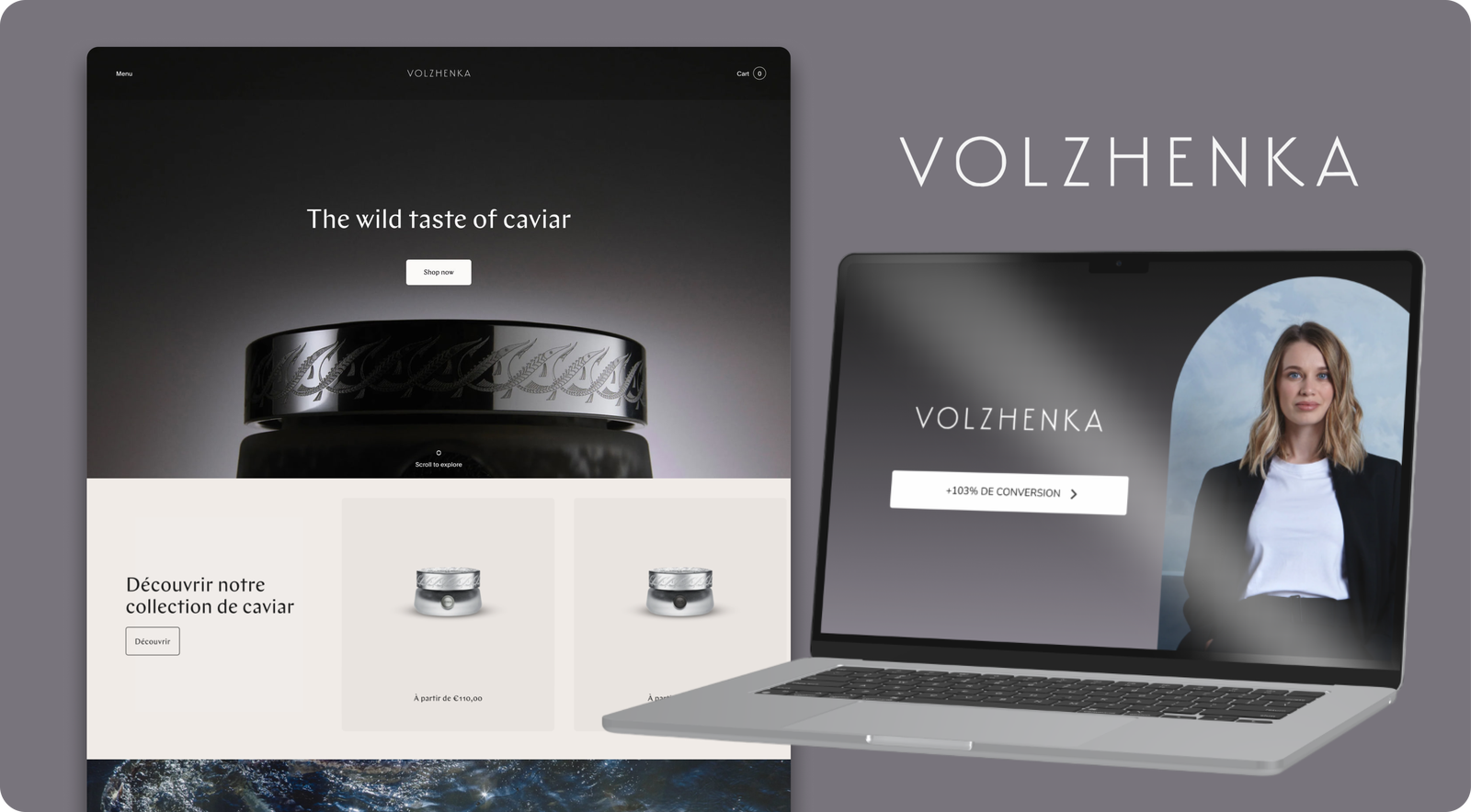 categories:website design/modification:services:e-commerce - Volzhenka