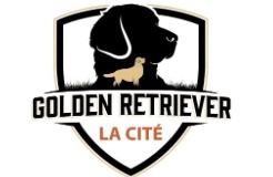 Web - LA CITÉ GOLDEN RETRIEVER