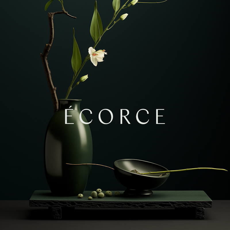categories:design:services:graphic design - Écorce