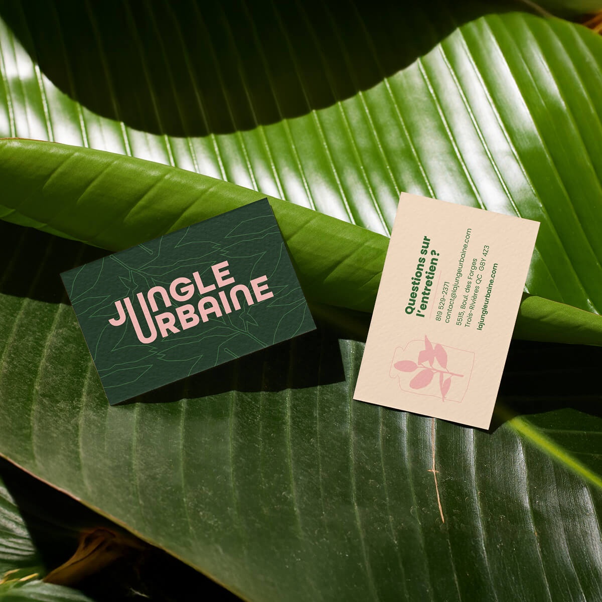 Graphisme - Jungle Urbaine