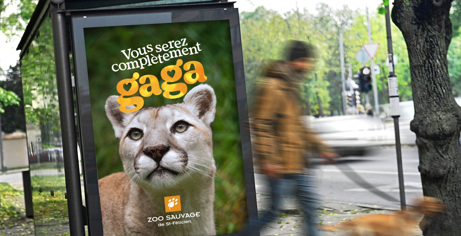 Branding and advertising (360 Marketing) - Zoo Sauvage de Saint-Félicien - Campagne complètement gaga!
