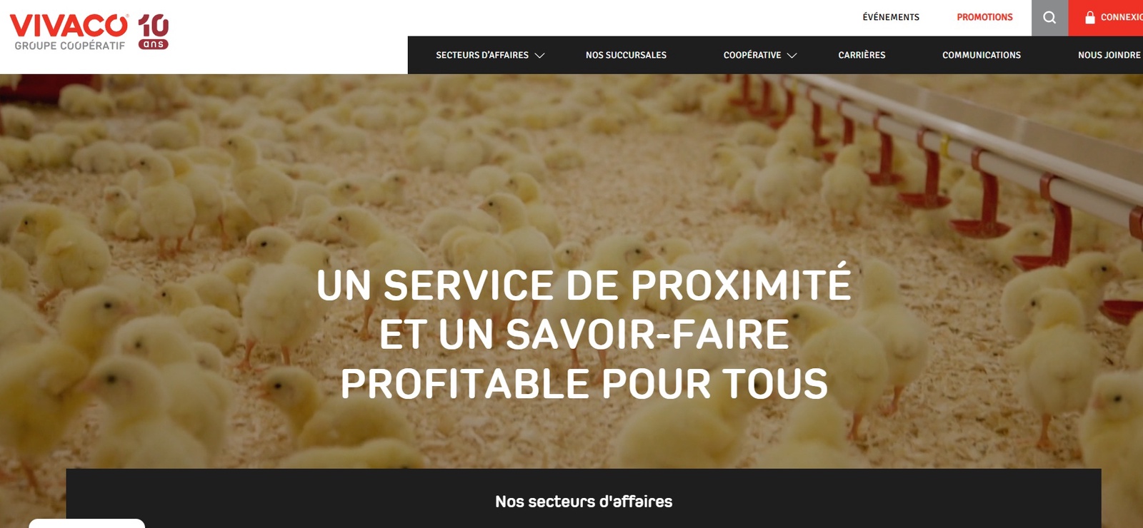 categories:website design/modification:services:static website - Vivaco - Site Web
