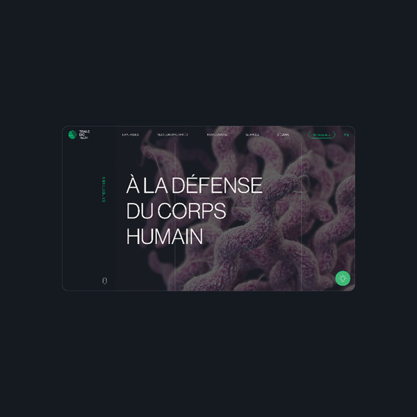 categories:design:services:interface design (ui/ux) - Transbiotech