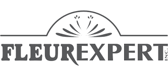 categories:managing software:services:enterprise resource planner (erp) - FleurXpert