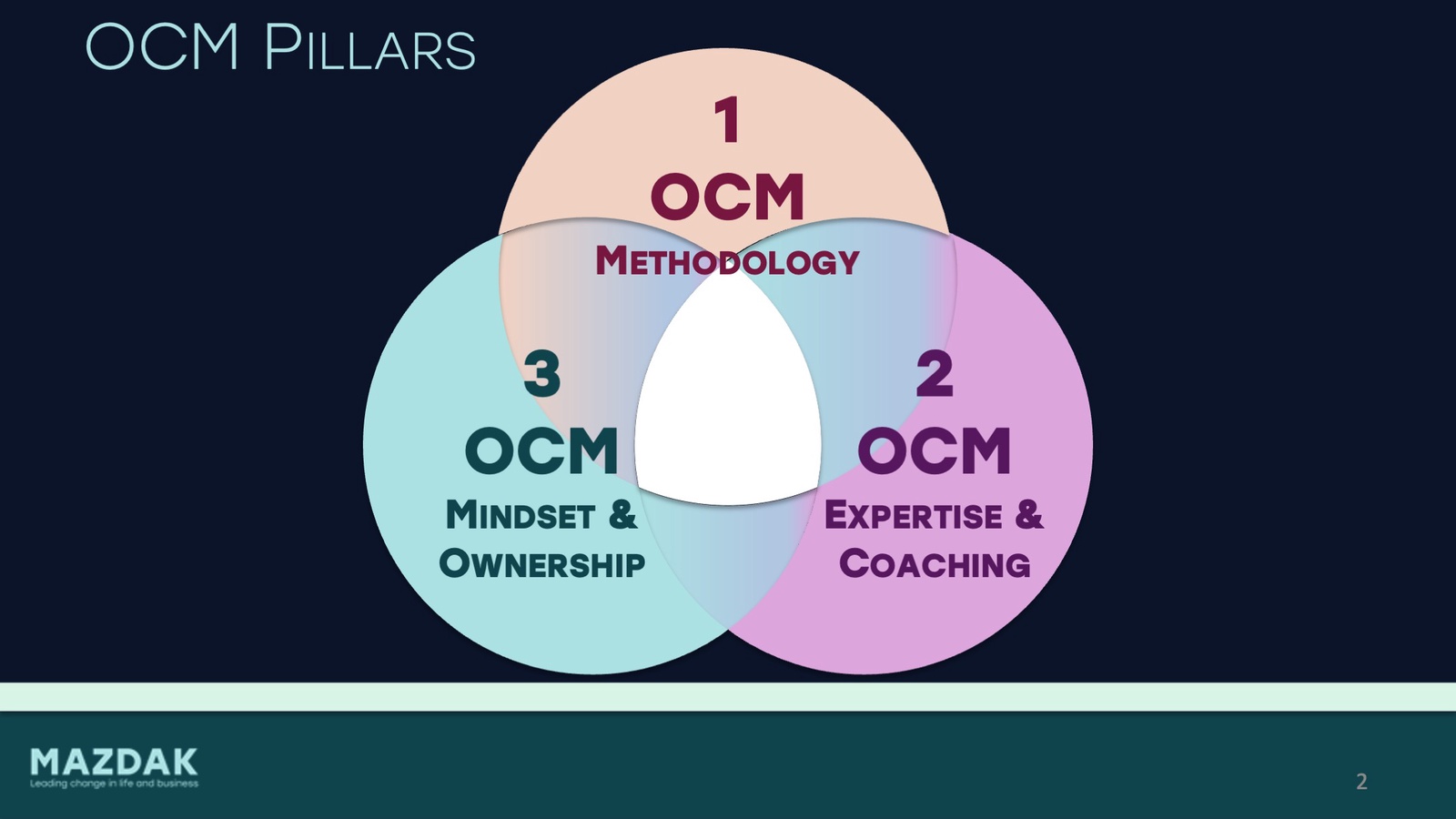 categories:professional services:services:strategic planning and management consulting - Internalizing Human-Centric Change Management Framework