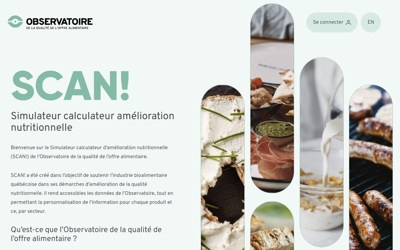 categories:website design/modification:services:static website - SCAN