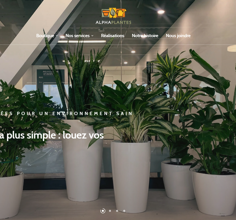 categories:website design/modification:services:e-commerce - Boutique en ligne / Déco et plantes